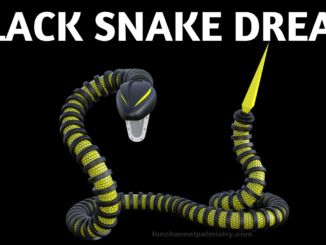 Black Snake Dream Meaning