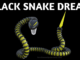 Black Snake Dream Meaning