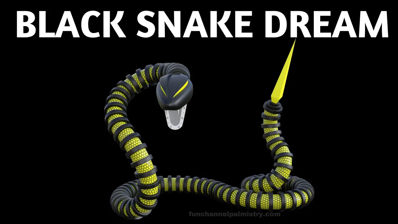 Dream of Black Snake (9 Reasons + Meaning) - Practical Psychology