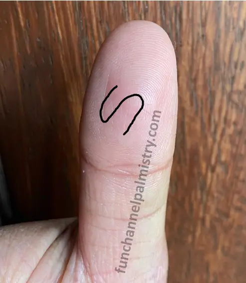 composite loop fingerprint