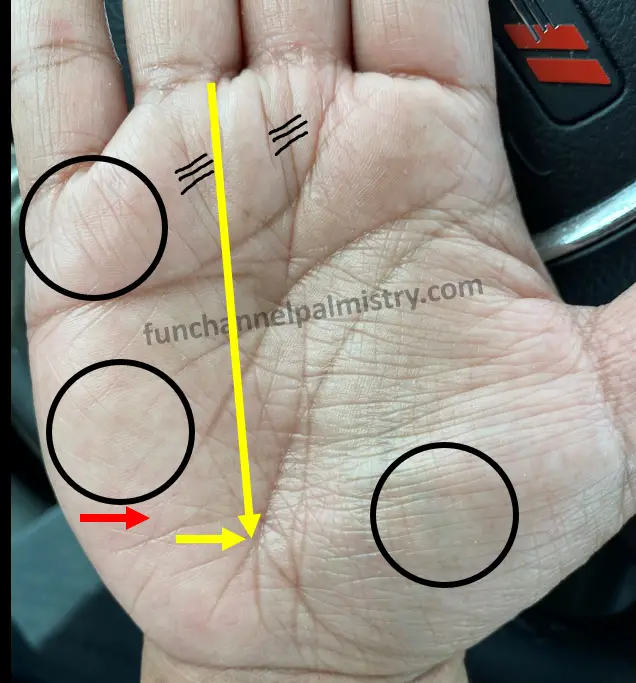 life line splits towards mount of moon