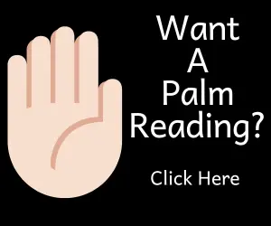 Detail palm analysis