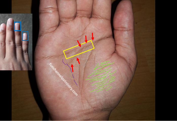 Stress lines palmistry