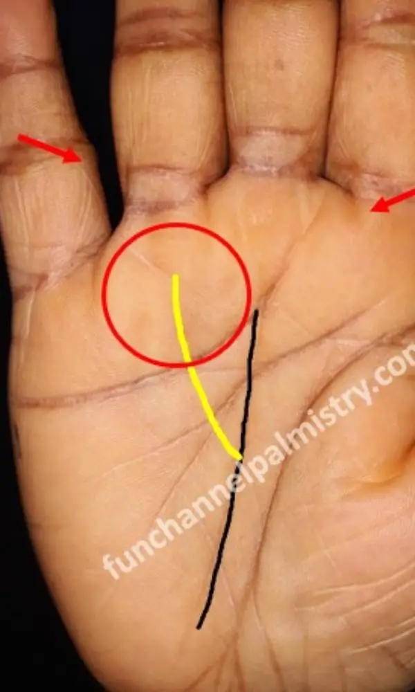 sudden wealth signs in palmistry sudden wealth signs in palmistry