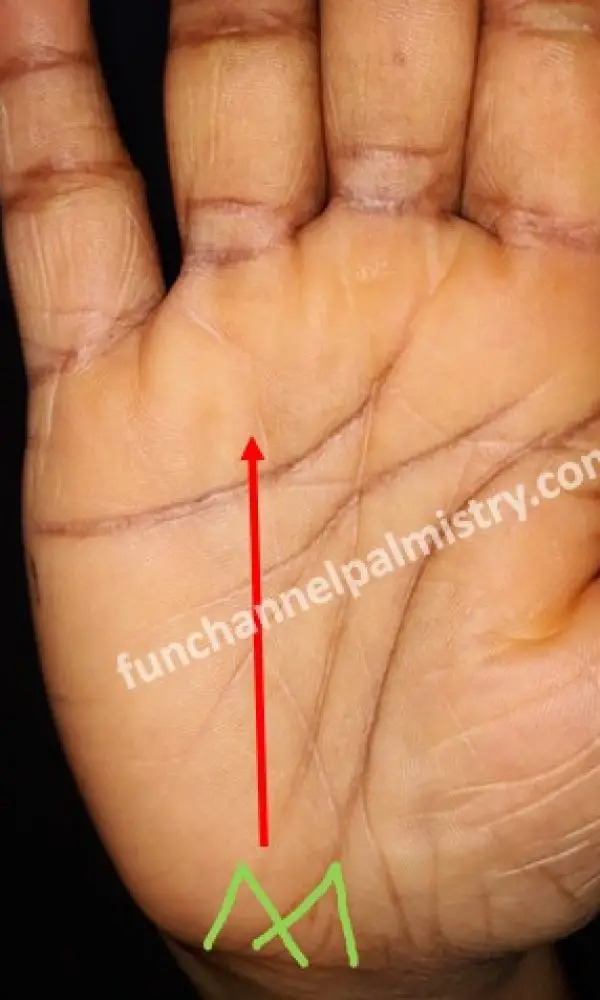a triangle on bracelet in palmistry a triangle on bracelet in palmistry