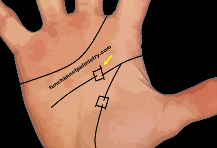 square on the head line